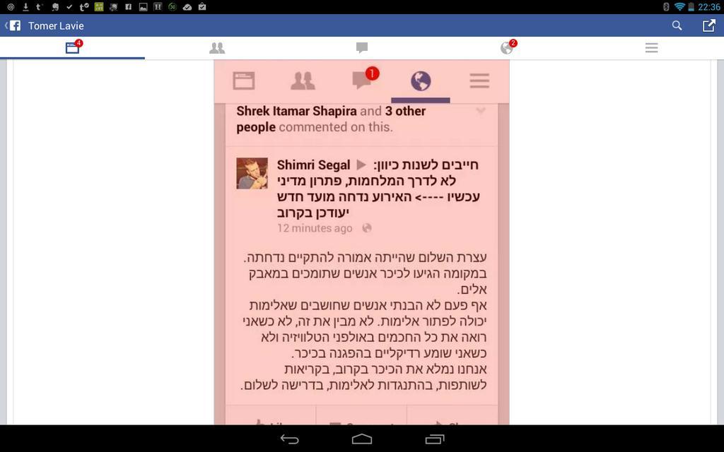 shimri segal meretz attack on peace activists