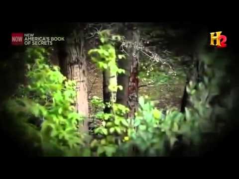 The Mystery of Bigfoot - Paranormal Documentary