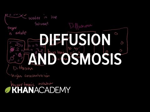 Diffusion and Osmosis