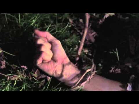 The Evil Dead (1981) - Cheryl gets raped by trees