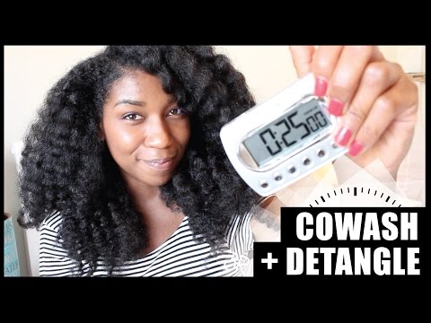 The 25 Minute Co Wash + Detangle! Thick Long Natural Hair - Naptural85