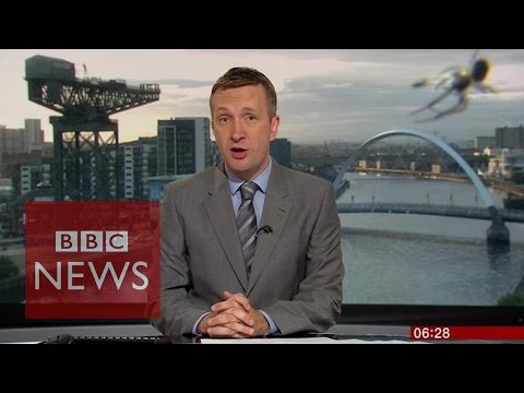 'Giant' spider photobombs BBC Scotland news - BBC News