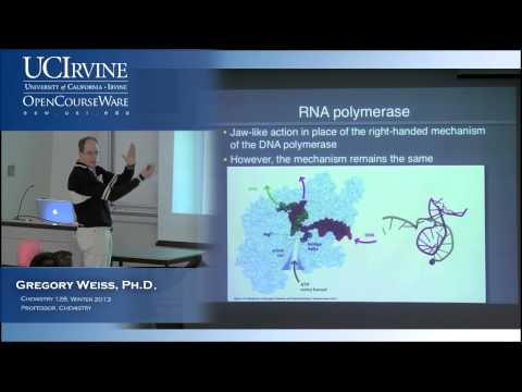 Intro to Chemical Biology 128. Lecture 08. RNA.