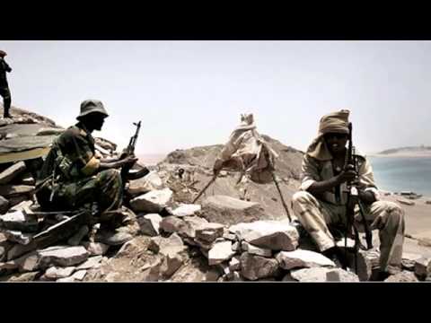 eritrea djibouti war