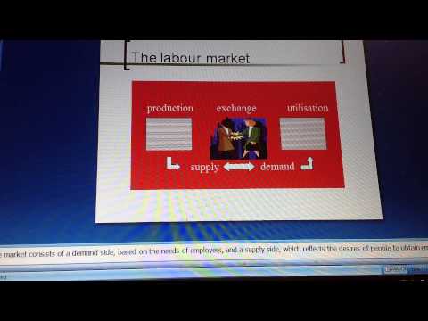 Labour Market Needs in Grenada Curlan Gilchrist and Justine Cleophas Pierre Part 1