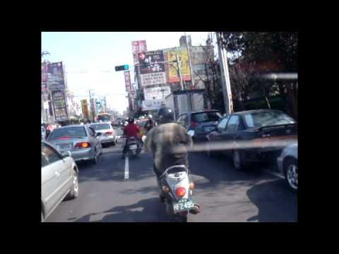 Motorcycle GPS / Taiwan Economy 