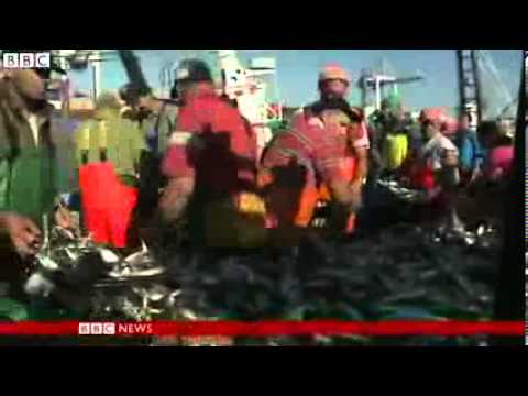 (HD)  Portugal unemployment  Fishing to make ends meet