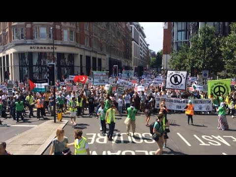 British MP Stands up for #Gaza 100,000 show up