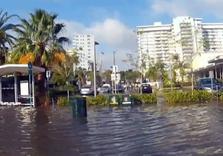 Evacuating Miami Beach:  Can South Florida Save itself from Sea Level Rise?