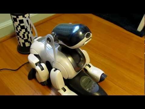 Cute and Smart Sony Robot Dog Aibo ERS-7.MP4