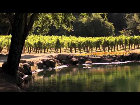 Napa Valley Rocks - FULL PRESENTATION 20:26