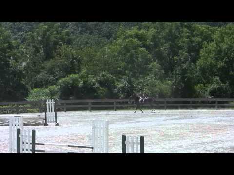 York County 4-H Horse Show Raw Hu nter Course on Bayard :)