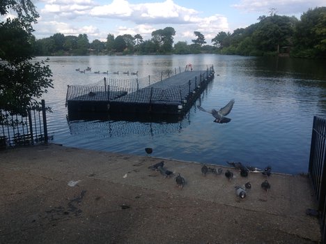 Bank Holiday cycling in Brent (Brent London Borough Council)