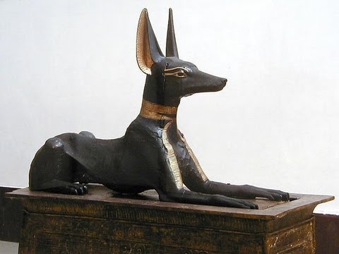 Sacred Egyptian Animals : Documentary on the Important Creatures of Ancient Egypt