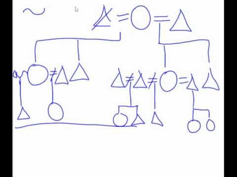 Kinship Diagram help