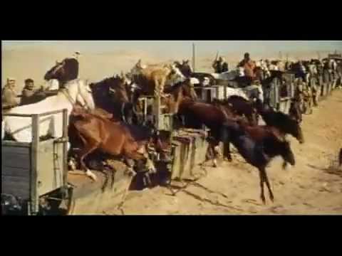 Lawrence of Arabia (1962) Original Theatrical Trailer