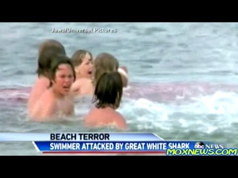 GREAT WHITE SHARK ATTACK ON BUSY CALIFORNIA BEACH