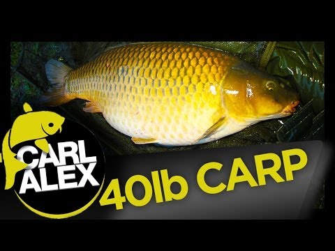 CARP FISHING the Park Lake Campaign - Carl and Alex Fishing - 2014