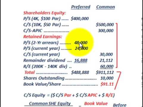 Stockholders Equity (Book Value Per Share, Preferred Stock & Common Stock Dividends)