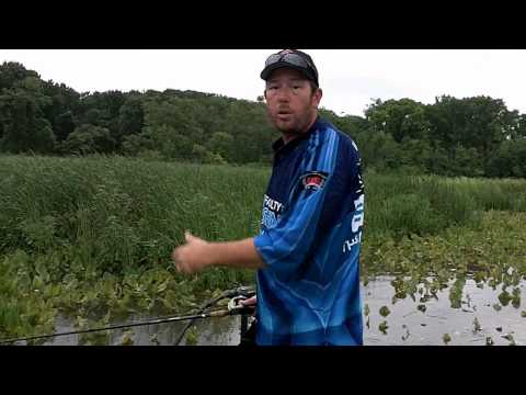 SUMMER BASS FISHING  TIPS FOR THE POTOMAC RIVER