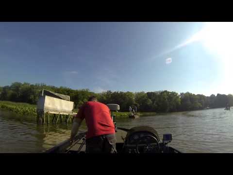 Pomonkey Creek / Potomac River Bass Fishing 6-1-2013