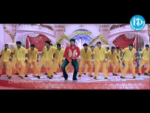 Gola Gola Song - Ashok Movie Songs - Jr NTR - Sameera Reddy - Prakash Raj