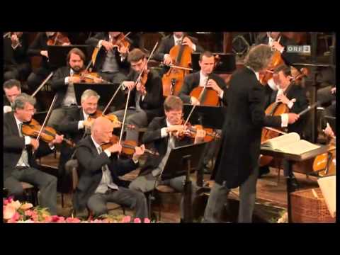 The blue Danube - 2013 New Year's Concert of the Vienna Philharmonic Orchestra