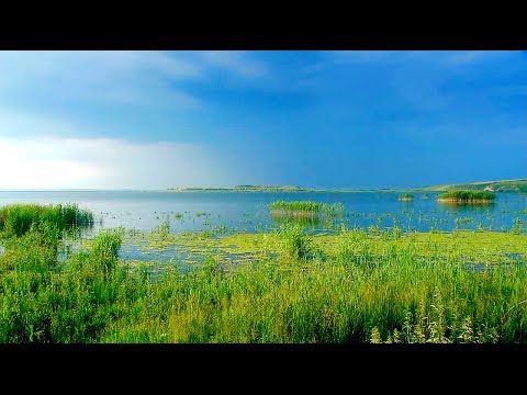 Discovering Romania | The Danube - Amazon of Europe (Part1 - From the Black Forest to the Black Sea)