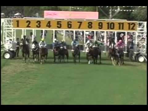 Barbados horse racing,Sandy Lane Gold Cup Day 2013