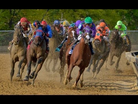 Preakness 2014 Horse Race VIDEO - California Chrome - HD