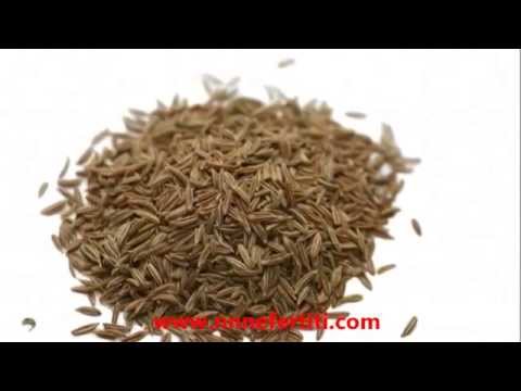 Cumin medicinal uses and benefits, natural herbs