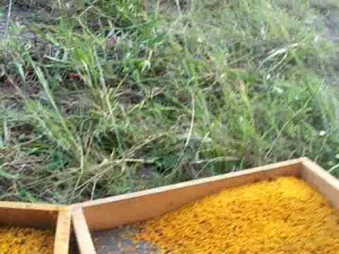 BEE POLLEN TRAPS,GA Pollen Trap Beehives,Propolis Honey bees hive,Beekeepers Beekeeping John Pluta