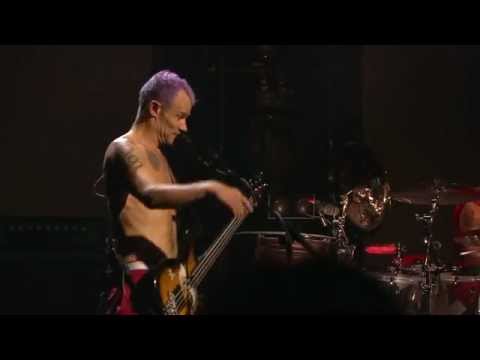 Red Hot Chili Peppers - Dance, Dance, Dance - Live Cologne alemanha Germany 2011