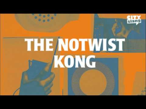 The Notwist - Kong (Video Coming Soon)