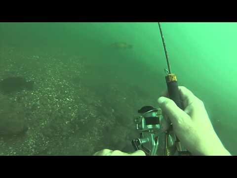 Upper niagara river underwater fishing wicked bass hit.