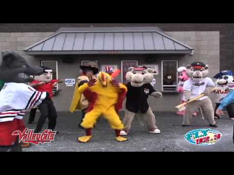 Tri-City ValleyCats Harlem Shake for Fly92