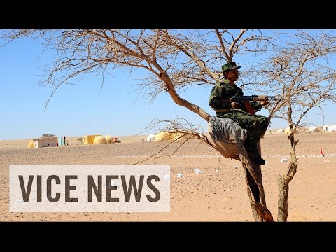 Escaping Moroccan Occupation: The Sahara's Forgotten War (Part 1)