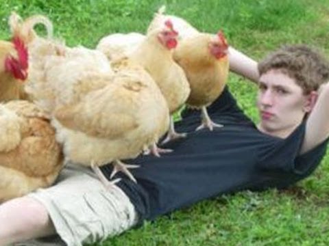 COVERED IN CHICKS -- IMG! #41