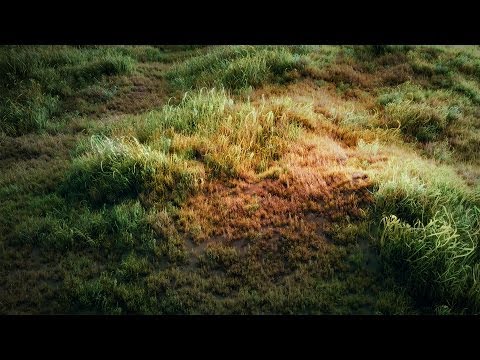 Blender Tutorial: How to make a grass field?