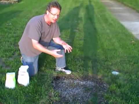 How to Grow Grass From Seed - How to Plant Grass From Seed