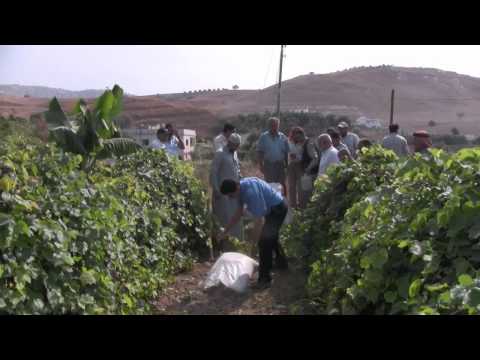 Permaculture   Greening the Desert