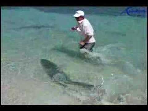 Fishing Big Monster Tarpon (sabalo) in the Caribbean Sea, Cuba Destinations