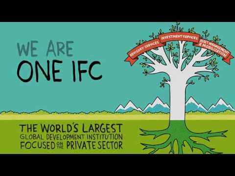 IFC: Private Sector Solutions in Development