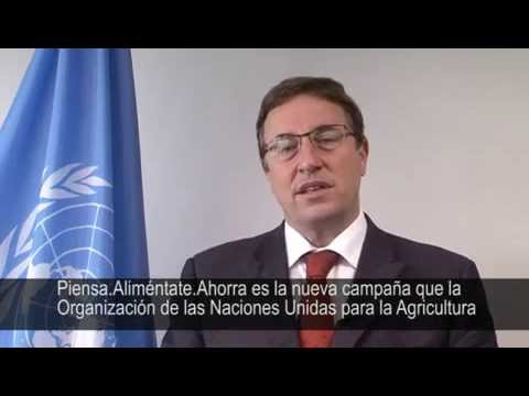 UNEP Executive Director Achim Steiner's message for World Environment Day 2013