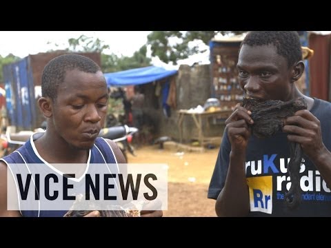 Subscribe to VICE News here: http://bit.ly/Subscribe-to-VICE-News

West Africa is being plagued by a new outbreak of Ebola — a terrifying disease that causes its victims to bleed to death from the inside out. Ebola has no cure, and the latest epidemic is spreading fast.
 
VICE News visited Liberia, where many feel the new outbreak began, borne from the bushmeat markets of Lofa. Western scientists feel that the consumption and preparation of meat from monkeys, fruit bats, and other forest animals is behind the transmission of Ebola, and possibly a new supervirus, which if left uncontrolled could kill a third of the world\'s population.

Eight Now Dead from Ebola Virus in Liberia\'s Capital: https://news.vice.com/article/eight-now-dead-from-ebola-virus-in-liberias-capital

Italy\'s False \'Ebola Outbreak\' Is Spread by Racists and Conspiracy Nuts: https://news.vice.com/article/italys-false-ebola-outbreak-is-spread-by-racists-and-conspiracy-nuts

Check out the VICE News beta for more: http://vicenews.com

Follow VICE News here:
Facebook: https://www.facebook.com/vicenews
Twitter: https://twitter.com/vicenews
Tumblr: http://vicenews.tumblr.com/