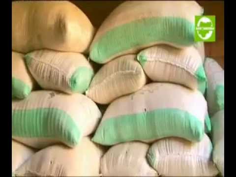 Rice Chronicle 2 (Sokoto State)