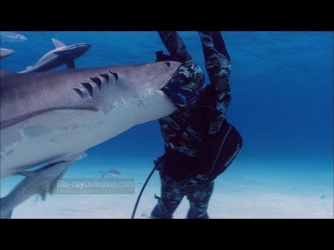 Australia's Deadliest Shark Coast - Fishing Documentary