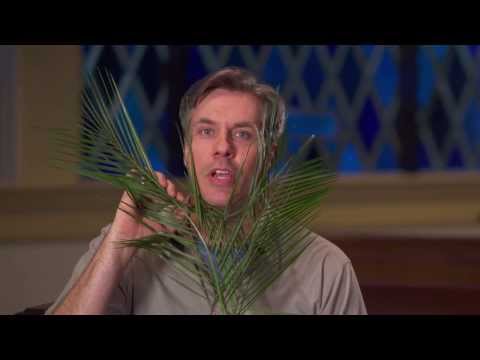 46 | Palm Sunday -- Chuck Knows Church