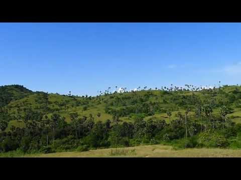 Lesser Sunda Islands Trip -  Rinca island view