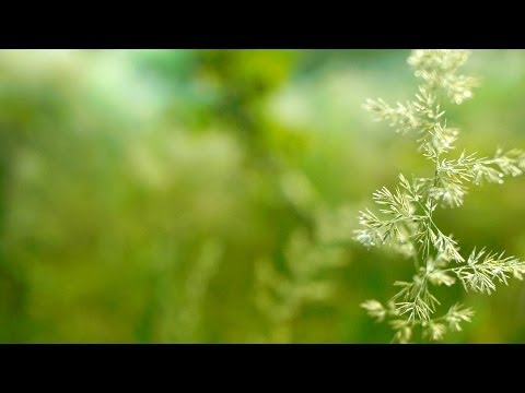 Instrumental Background Music - relaxdaily B-Sides N°2 - for concentration, studying, relaxing